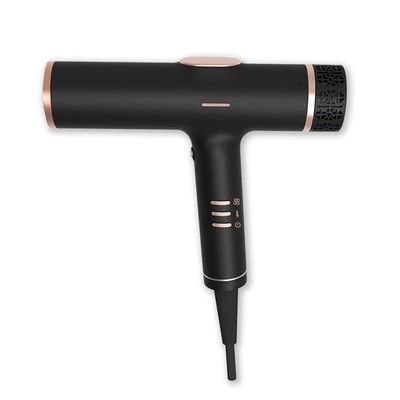 Brushless Negative Ion Blow Dryer High Speed Salon Hair Dryer Mini Travel